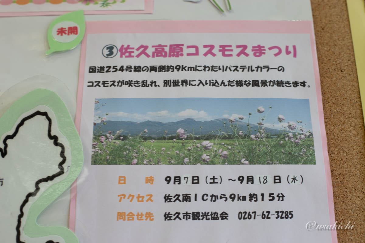 梓川SA(下り) | コスモスイベント情報(佐久高原)