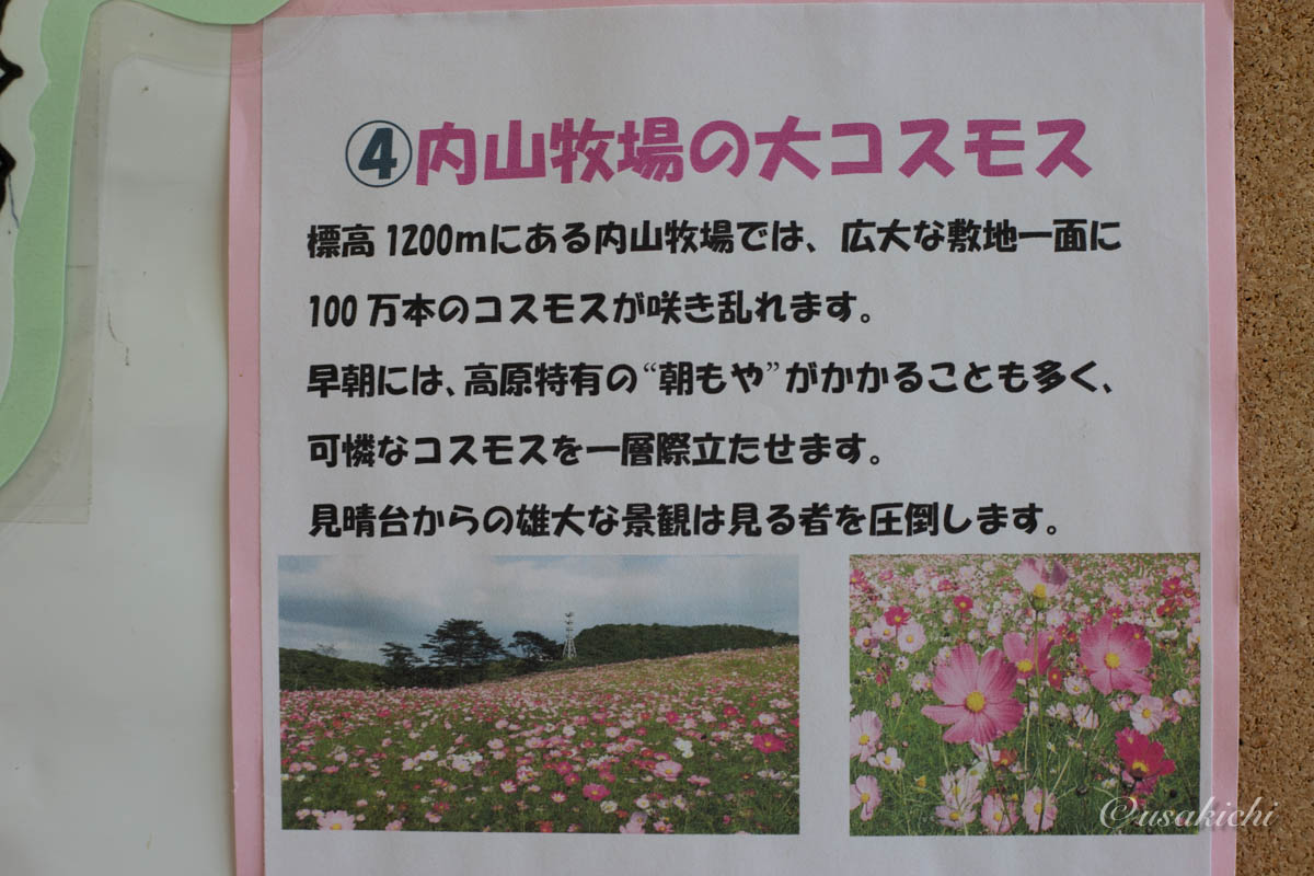 梓川SA(下り) | コスモスイベント情報(内山牧場)
