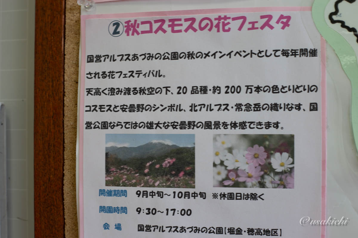 梓川SA(下り) | コスモスイベント情報(国営アルプスあづみの公園)